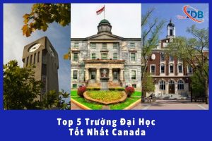 Điểm Tên Top 5 Trường Đại Học Tốt Nhất Canada